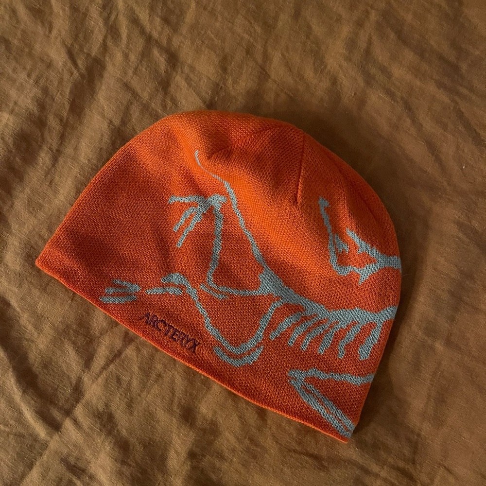 Arc’teryx bird head toque